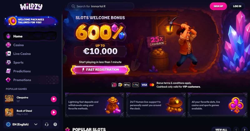 Image: Vérification des caractéristiques du casino en ligne Wildzy pour les joueurs